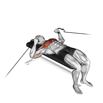 cable bench press