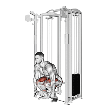 cable deadlift