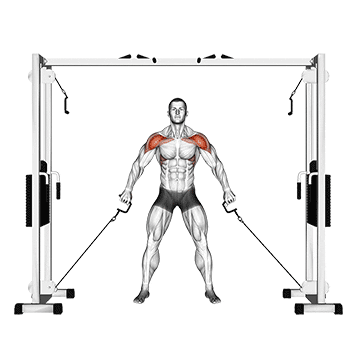cable front shoulder raise