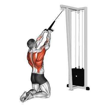 cable high row (kneeling)