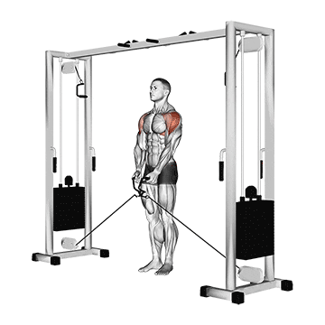 cable lateral raise
