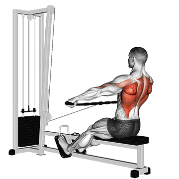 cable seated wide-grip row