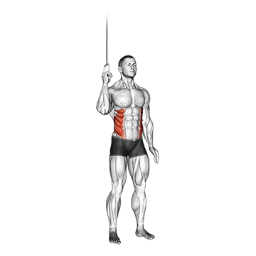 cable side crunch