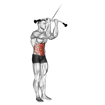 cable standing crunch