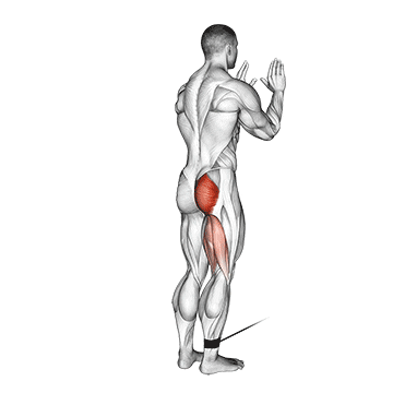 cable standing hip extension demonstration