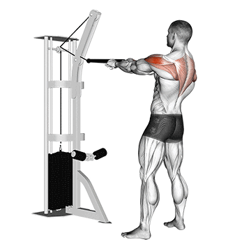 cable standing rear delt row (with rope) demonstration