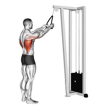 cable straight arm pulldown (with rope)