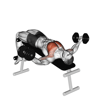 dumbbell decline twist fly