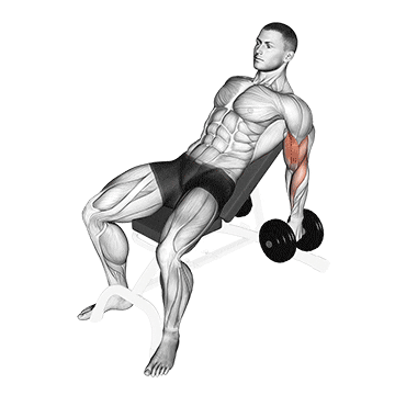 dumbbell incline hammer curl demonstration