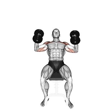 dumbbell incline hammer press demonstration