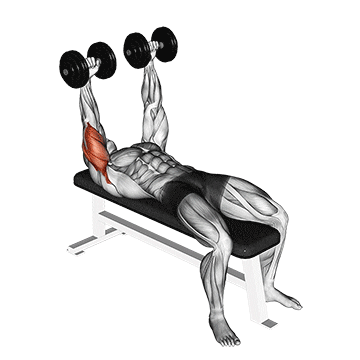 dumbbell lying  extension (across face) demonstration