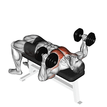 dumbbell lying hammer press demonstration