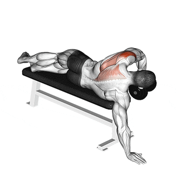 dumbbell lying one arm deltoid rear demonstration