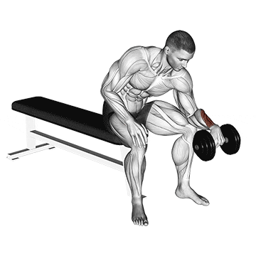 dumbbell one arm revers wrist curl