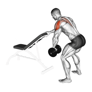 dumbbell one arm reverse fly (with support) demonstration