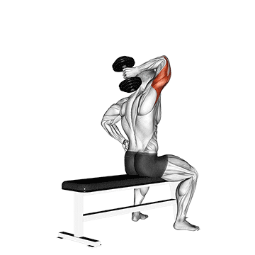 dumbbell one arm triceps extension (on bench) demonstration