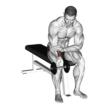 dumbbell one arm wrist curl