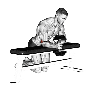 dumbbell over bench one arm  neutral wrist curl demonstration