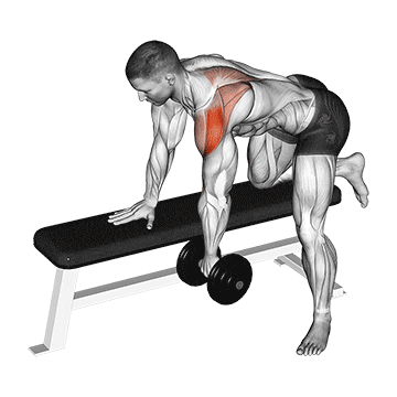 dumbbell rear delt row_shoulder demonstration
