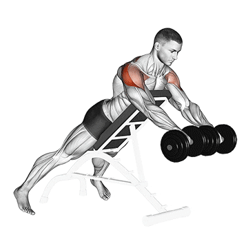 dumbbell rotation reverse fly demonstration