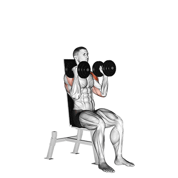 dumbbell seated alternate press demonstration
