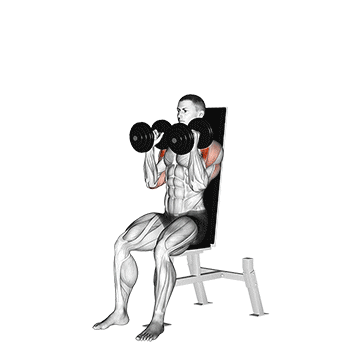 dumbbell seated shoulder press (parallel grip) demonstration