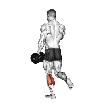 dumbbell single leg calf raise