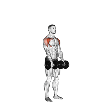 dumbbell standing front raise above head demonstration