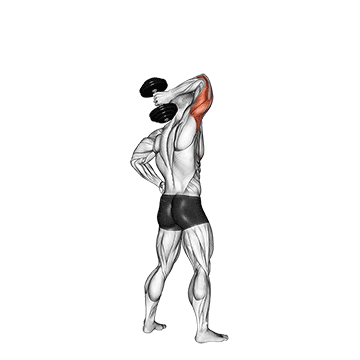 dumbbell standing one arm extension demonstration