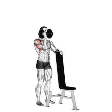 dumbbell standing one arm palm in press demonstration