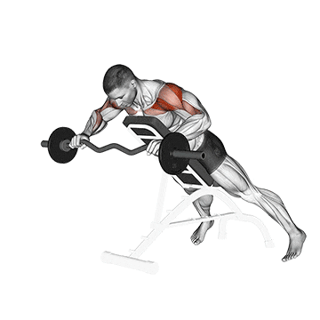 ez barbell anti gravity press