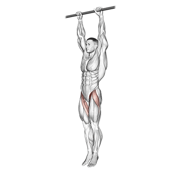 hanging leg raise demonstration