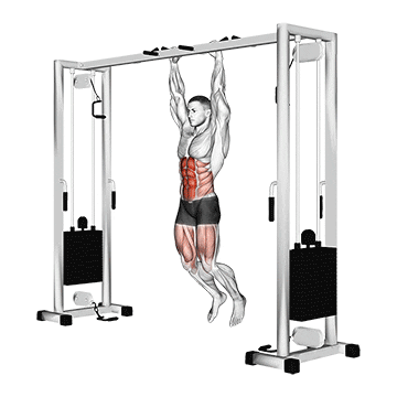 hanging straight leg hip raise demonstration