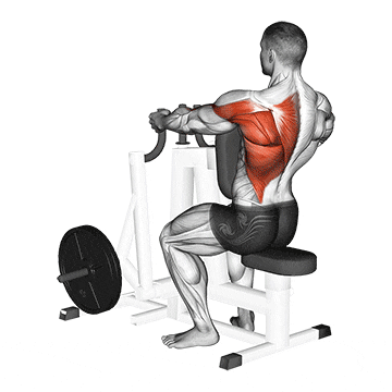 lever alternating narrow grip seated row 