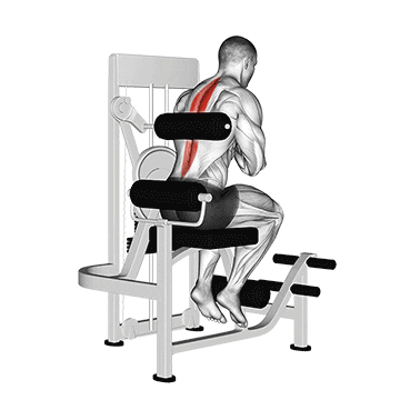 lever back extension