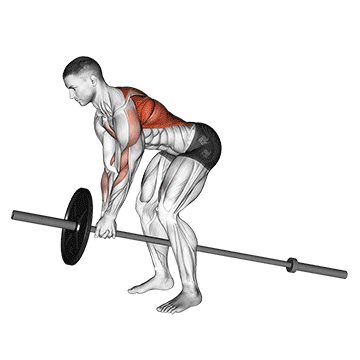 lever bent over row  demonstration