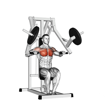 lever chest press 