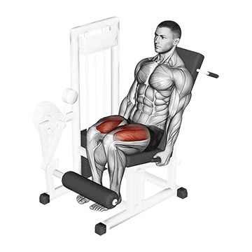 lever leg extension