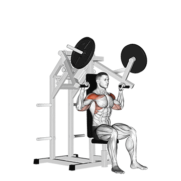 lever military press 