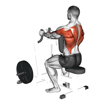 lever narrow grip seated row 