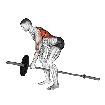 lever one arm bent over row  demonstration