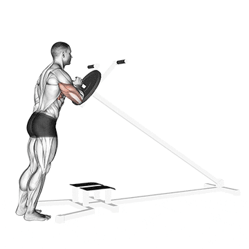lever one arm shoulder press 