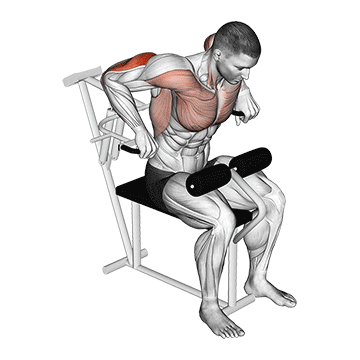 lever overhand triceps dip