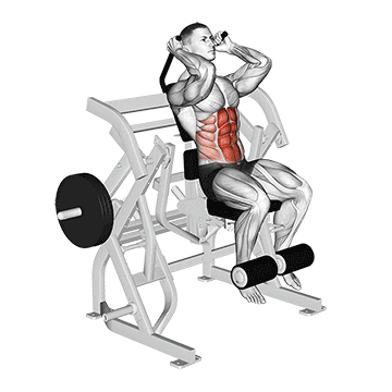 lever seated leg raise crunch  demonstration