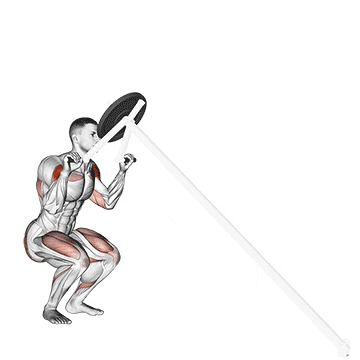 lever shoulder press  demonstration