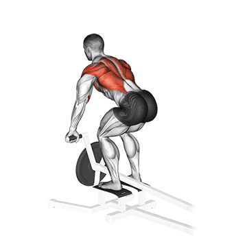 lever t bar row  demonstration