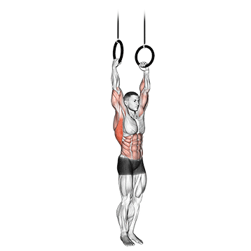 muscle up demonstration