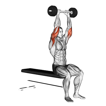 olympic barbell triceps extension demonstration