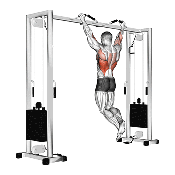 pull up (neutral grip) demonstration