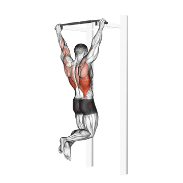 pull-up demonstration